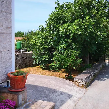 Appartement Stunning In With Kitchen Pula